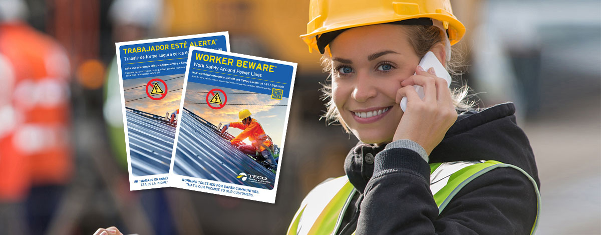 TECO Order free materials elec slide